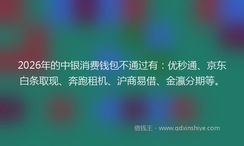 2026年的中银消费钱包不通过有：优秒通、京东白条取现、奔跑租机、沪商易借、金瀛分期等。