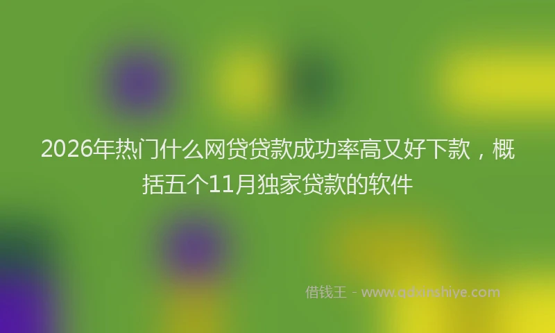 2026年热门什么网贷贷款成功率高又好下款，概括五个11月独家贷款的软件