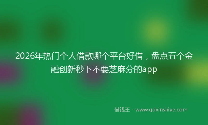 2026年热门个人借款哪个平台好借，盘点五个金融创新秒下不要芝麻分的app