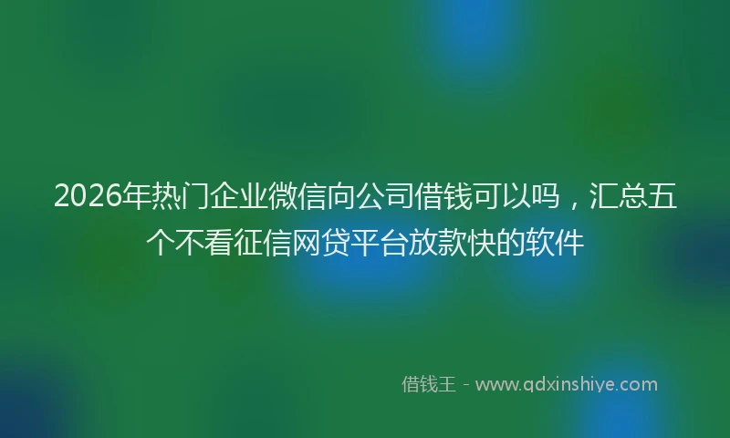 2026年热门企业微信向公司借钱可以吗，汇总五个不看征信网贷平台放款快的软件