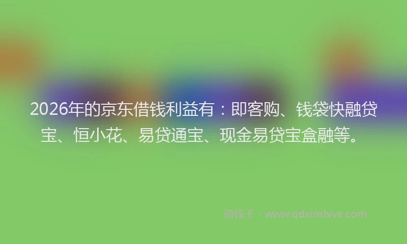 2026年的京东借钱利益有：即客购、钱袋快融贷宝、恒小花、易贷通宝、现金易贷宝盒融等。