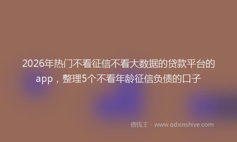 2026年热门不看征信不看大数据的贷款平台的app，整理5个不看年龄征信负债的口子