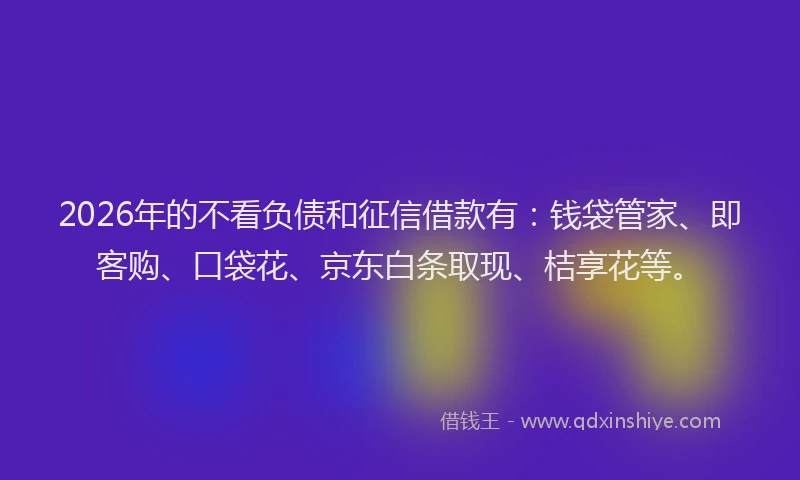 2026年的不看负债和征信借款有：钱袋管家、即客购、口袋花、京东白条取现、桔享花等。