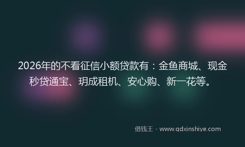 2026年的不看征信小额贷款有：金鱼商城、现金秒贷通宝、玥成租机、安心购、新一花等。