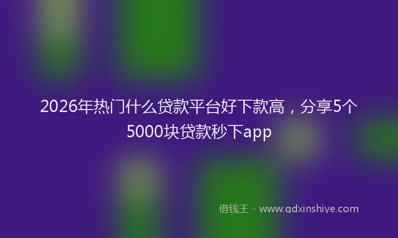 2026年热门什么贷款平台好下款高，分享5个5000块贷款秒下app