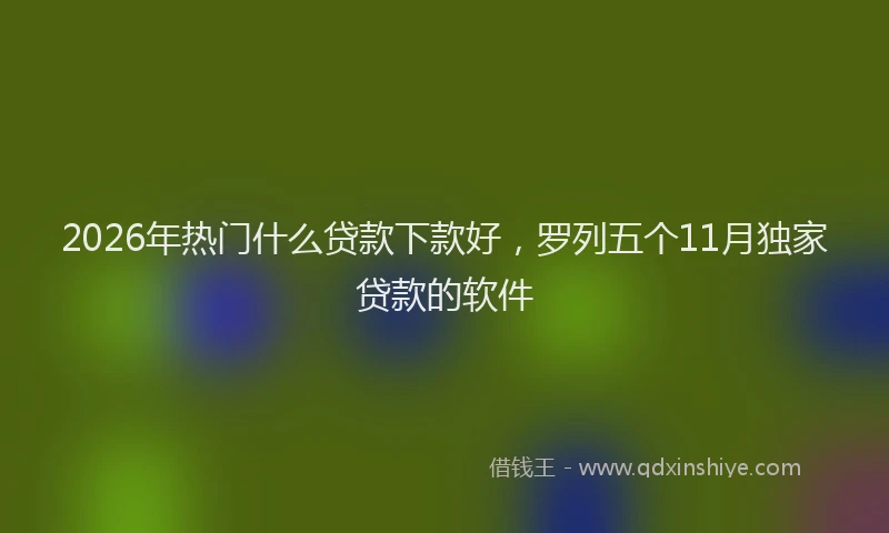 2026年热门什么贷款下款好，罗列五个11月独家贷款的软件