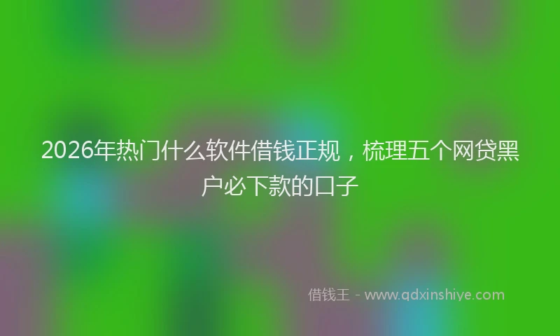2026年热门什么软件借钱正规，梳理五个网贷黑户必下款的口子