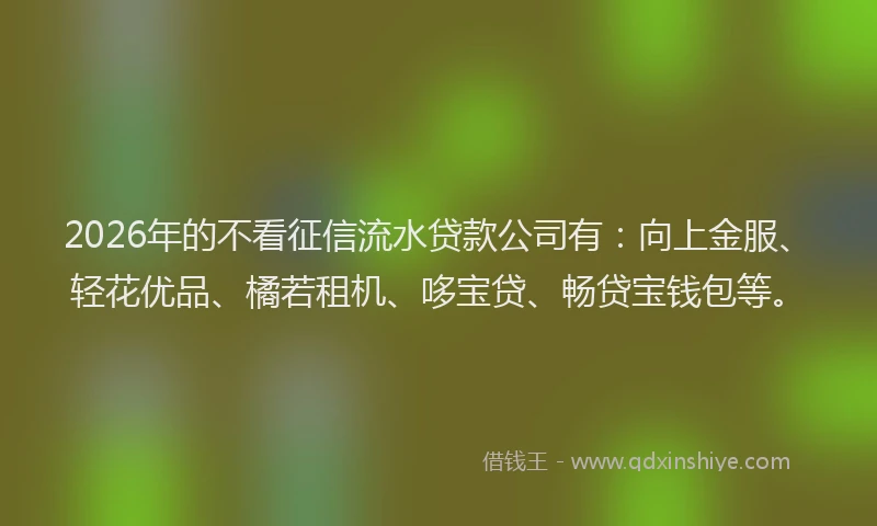 2026年的不看征信流水贷款公司有：向上金服、轻花优品、橘若租机、哆宝贷、畅贷宝钱包等。