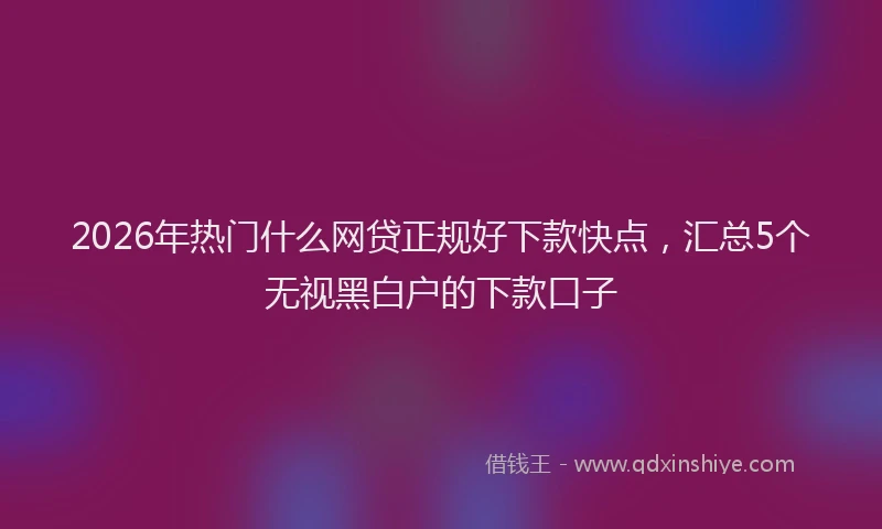 2026年热门什么网贷正规好下款快点，汇总5个无视黑白户的下款口子