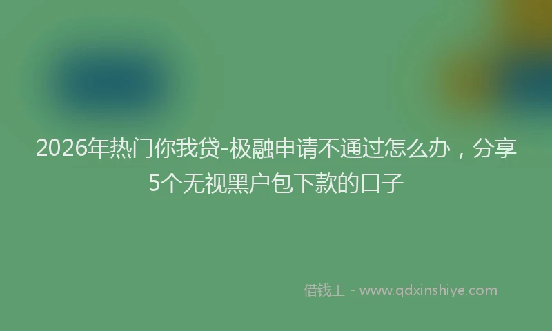 2026年热门你我贷-极融申请不通过怎么办，分享5个无视黑户包下款的口子