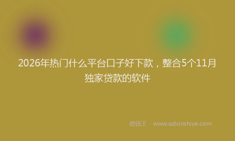 2026年热门什么平台口子好下款，整合5个11月独家贷款的软件