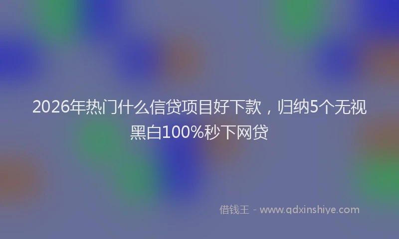 2026年热门什么信贷项目好下款，归纳5个无视黑白100%秒下网贷