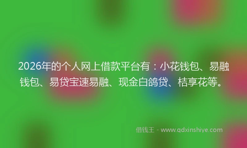 2026年的个人网上借款平台有：小花钱包、易融钱包、易贷宝速易融、现金白鸽贷、桔享花等。
