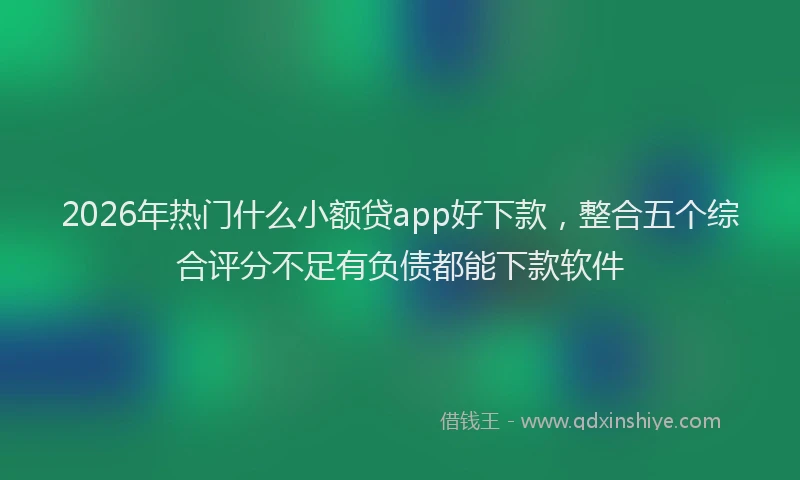 2026年热门什么小额贷app好下款，整合五个综合评分不足有负债都能下款软件