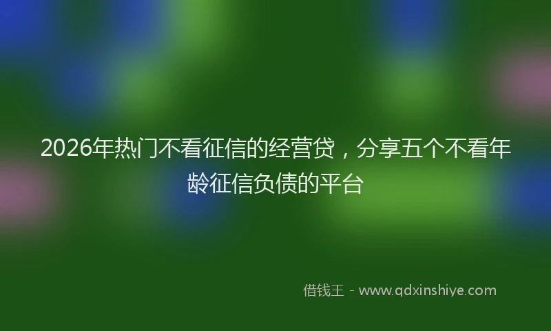 2026年热门不看征信的经营贷，分享五个不看年龄征信负债的平台