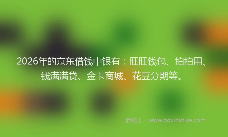 2026年的京东借钱中银有：旺旺钱包、拍拍用、钱满满贷、金卡商城、花豆分期等。