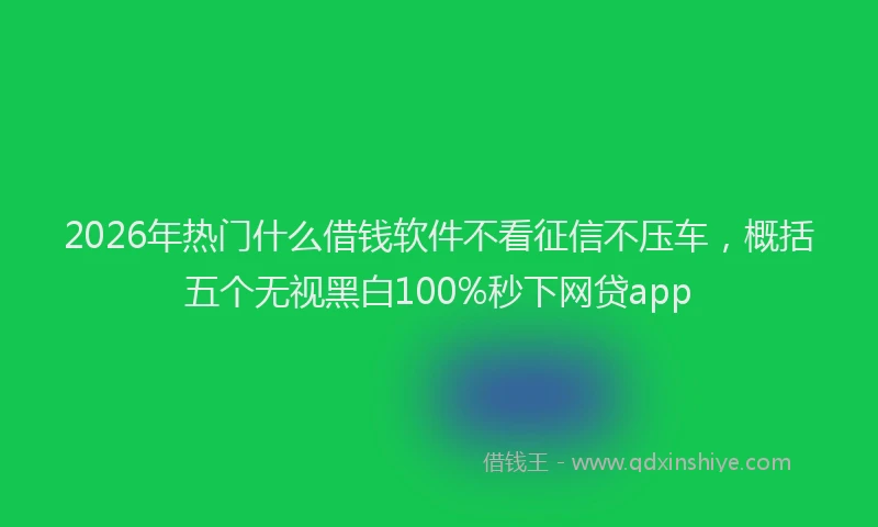 2026年热门什么借钱软件不看征信不压车，概括五个无视黑白100%秒下网贷app
