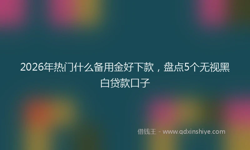 2026年热门什么备用金好下款，盘点5个无视黑白贷款口子