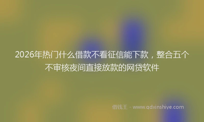 2026年热门什么借款不看征信能下款，整合五个不审核夜间直接放款的网贷软件
