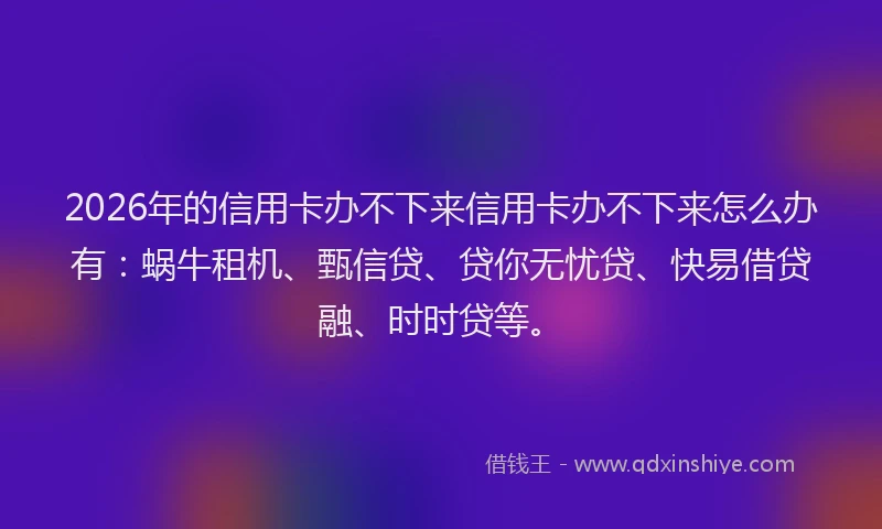 2026年的信用卡办不下来信用卡办不下来怎么办有：蜗牛租机、甄信贷、贷你无忧贷、快易借贷融、时时贷等。