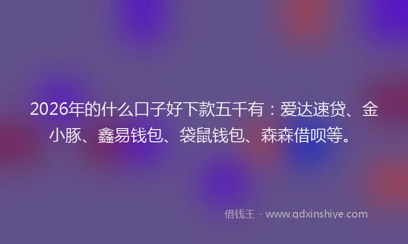 2026年的什么口子好下款五千有：爱达速贷、金小豚、鑫易钱包、袋鼠钱包、森森借呗等。