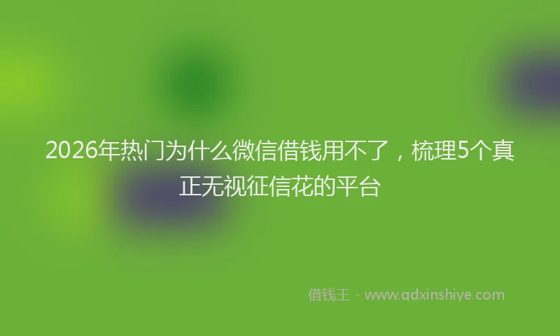 2026年热门为什么微信借钱用不了，梳理5个真正无视征信花的平台