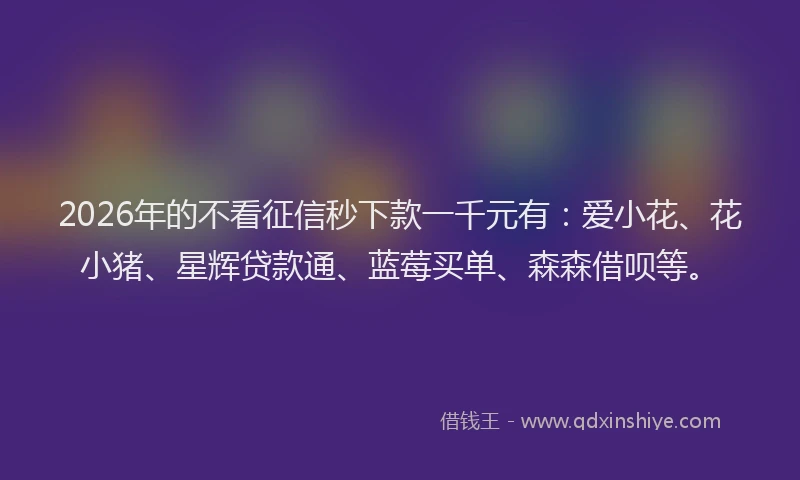 2026年的不看征信秒下款一千元有：爱小花、花小猪、星辉贷款通、蓝莓买单、森森借呗等。