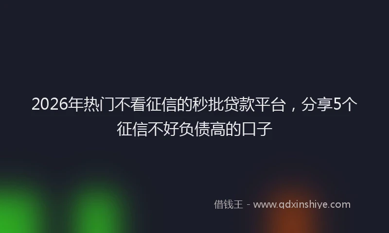2026年热门不看征信的秒批贷款平台，分享5个征信不好负债高的口子