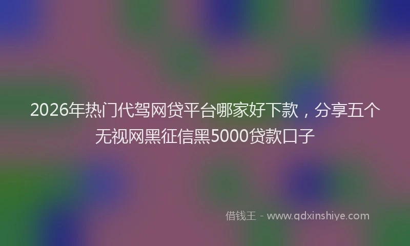 2026年热门代驾网贷平台哪家好下款，分享五个无视网黑征信黑5000贷款口子