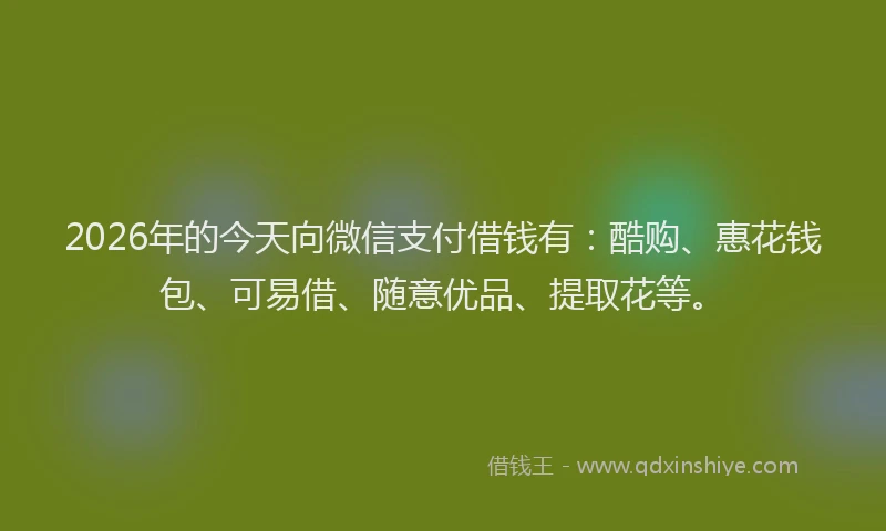2026年的今天向微信支付借钱有：酷购、惠花钱包、可易借、随意优品、提取花等。