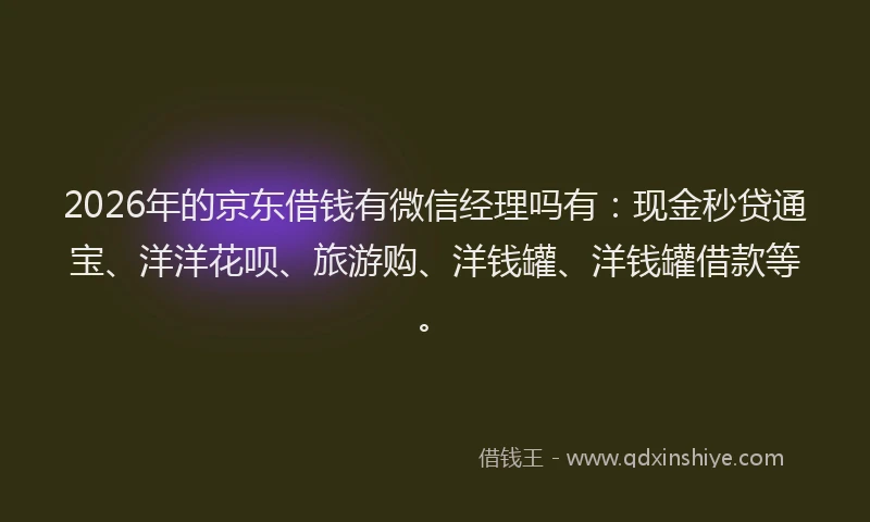2026年的京东借钱有微信经理吗有：现金秒贷通宝、洋洋花呗、旅游购、洋钱罐、洋钱罐借款等。