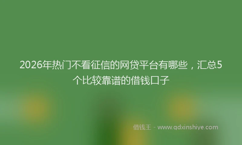 2026年热门不看征信的网贷平台有哪些，汇总5个比较靠谱的借钱口子