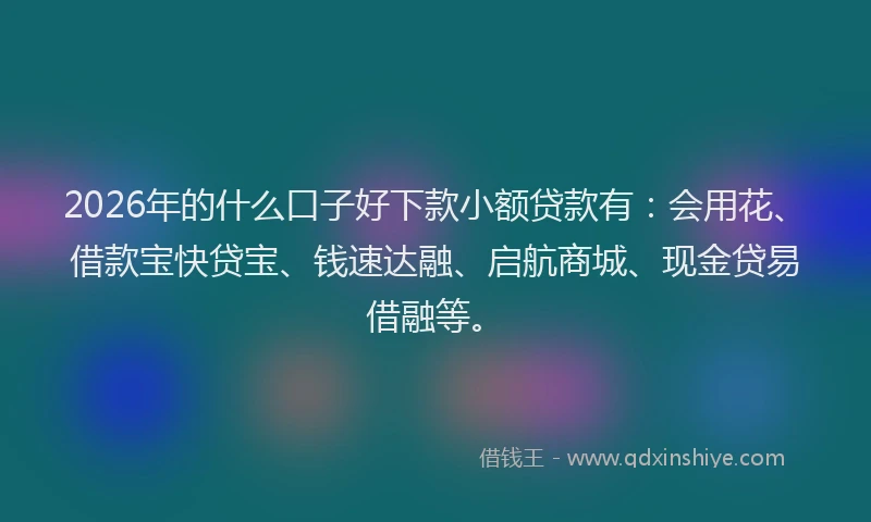 2026年的什么口子好下款小额贷款有：会用花、借款宝快贷宝、钱速达融、启航商城、现金贷易借融等。