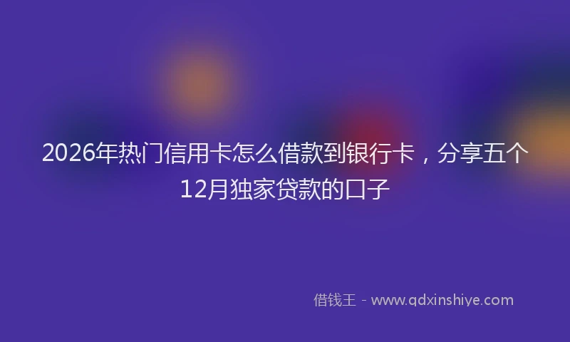 2026年热门信用卡怎么借款到银行卡，分享五个12月独家贷款的口子