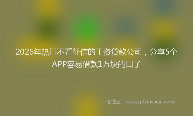 2026年热门不看征信的工资贷款公司，分享5个APP容易借款1万块的口子
