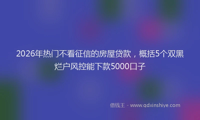 2026年热门不看征信的房屋贷款，概括5个双黑烂户风控能下款5000口子