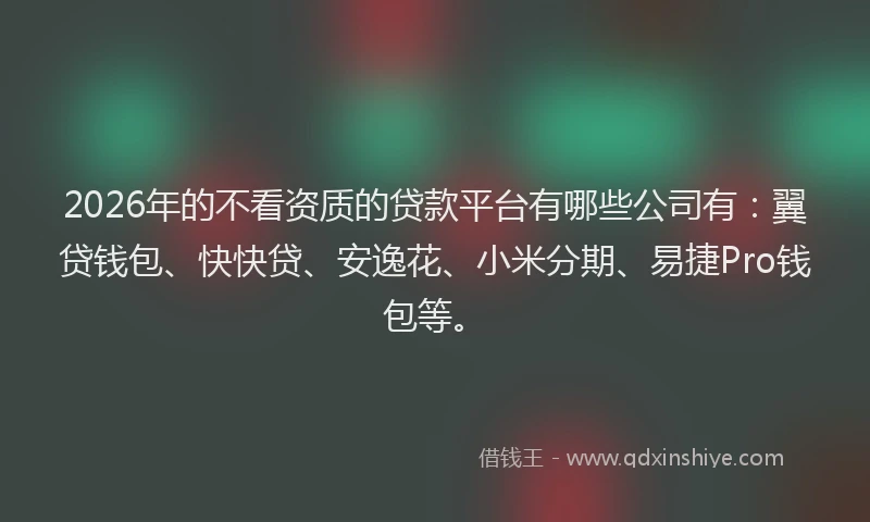 2026年的不看资质的贷款平台有哪些公司有：翼贷钱包、快快贷、安逸花、小米分期、易捷Pro钱包等。