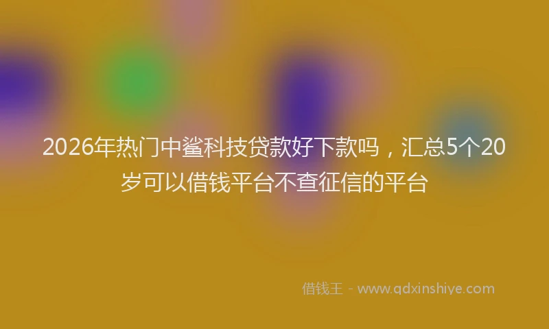2026年热门中鲨科技贷款好下款吗，汇总5个20岁可以借钱平台不查征信的平台
