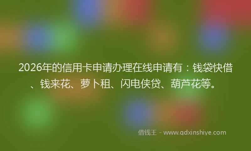 2026年的信用卡申请办理在线申请有：钱袋快借、钱来花、萝卜租、闪电侠贷、葫芦花等。