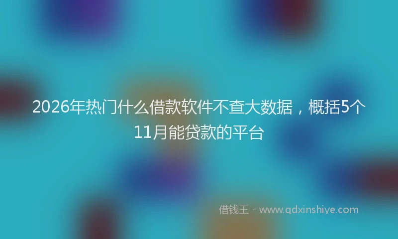 2026年热门什么借款软件不查大数据，概括5个11月能贷款的平台
