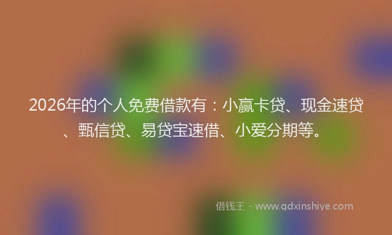 2026年的个人免费借款有：小赢卡贷、现金速贷、甄信贷、易贷宝速借、小爱分期等。