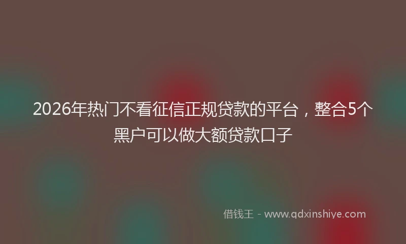 2026年热门不看征信正规贷款的平台，整合5个黑户可以做大额贷款口子