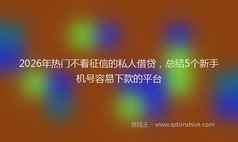 2026年热门不看征信的私人借贷，总结5个新手机号容易下款的平台