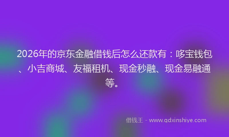 2026年的京东金融借钱后怎么还款有：哆宝钱包、小吉商城、友福租机、现金秒融、现金易融通等。