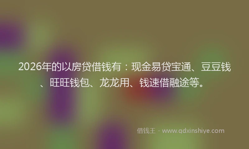 2026年的以房贷借钱有：现金易贷宝通、豆豆钱、旺旺钱包、龙龙用、钱速借融途等。