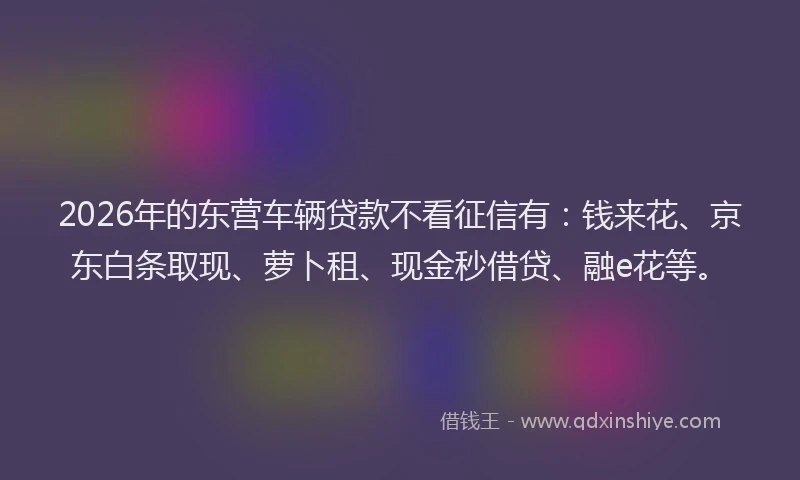 2026年的东营车辆贷款不看征信有：钱来花、京东白条取现、萝卜租、现金秒借贷、融e花等。