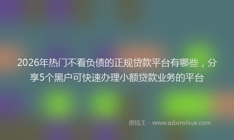 2026年热门不看负债的正规贷款平台有哪些，分享5个黑户可快速办理小额贷款业务的平台