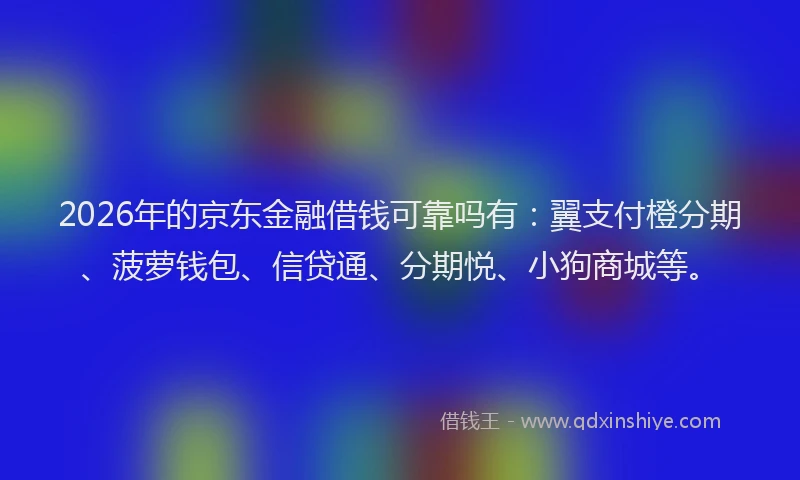 2026年的京东金融借钱可靠吗有：翼支付橙分期、菠萝钱包、信贷通、分期悦、小狗商城等。