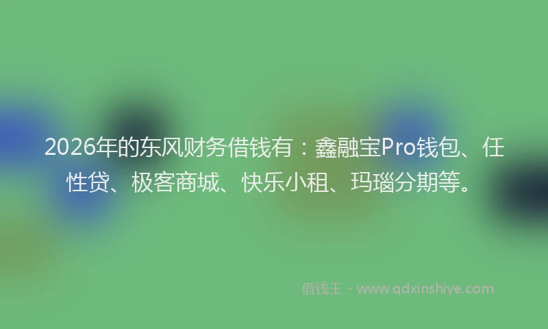 2026年的东风财务借钱有：鑫融宝Pro钱包、任性贷、极客商城、快乐小租、玛瑙分期等。