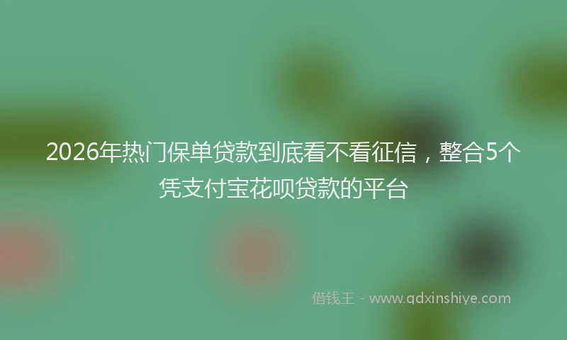 2026年热门保单贷款到底看不看征信，整合5个凭支付宝花呗贷款的平台